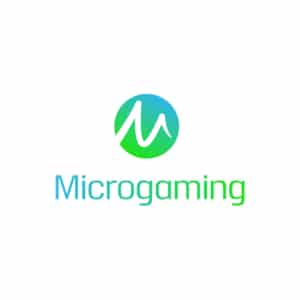 Microgaming Casinoer hero image
