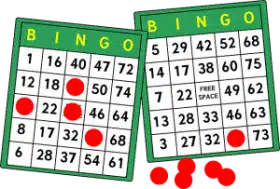 Bingo Money  Management